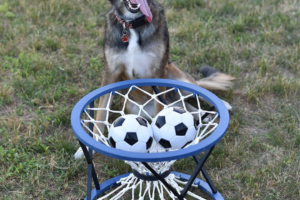 footyball